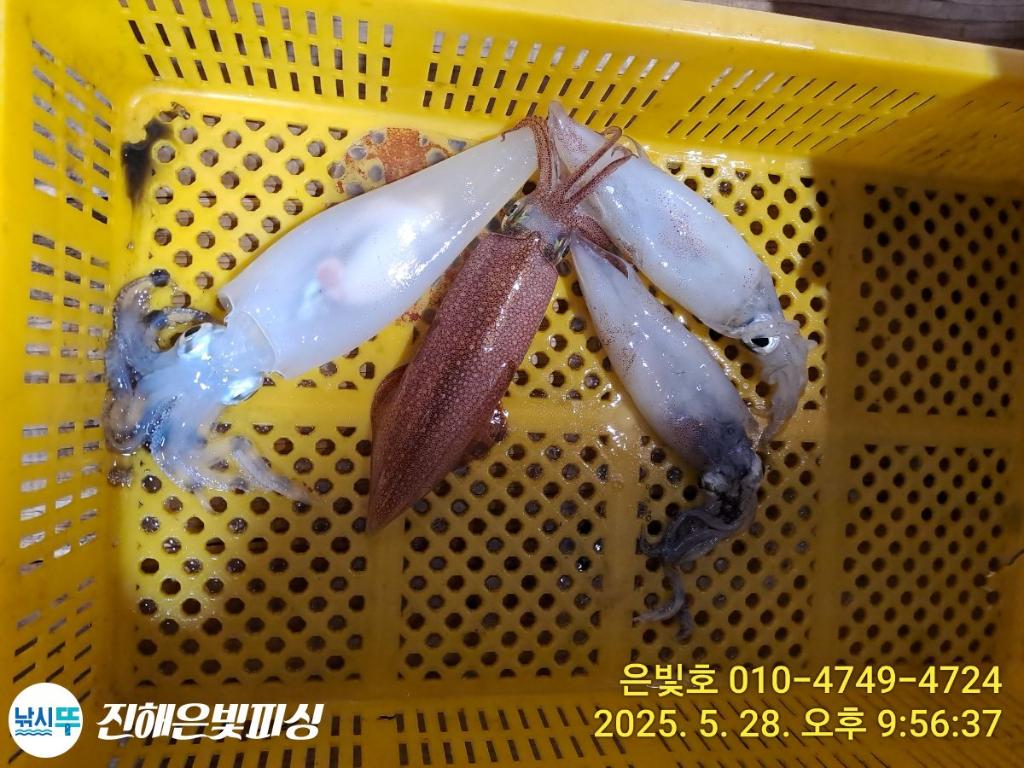 F268518162.jpg