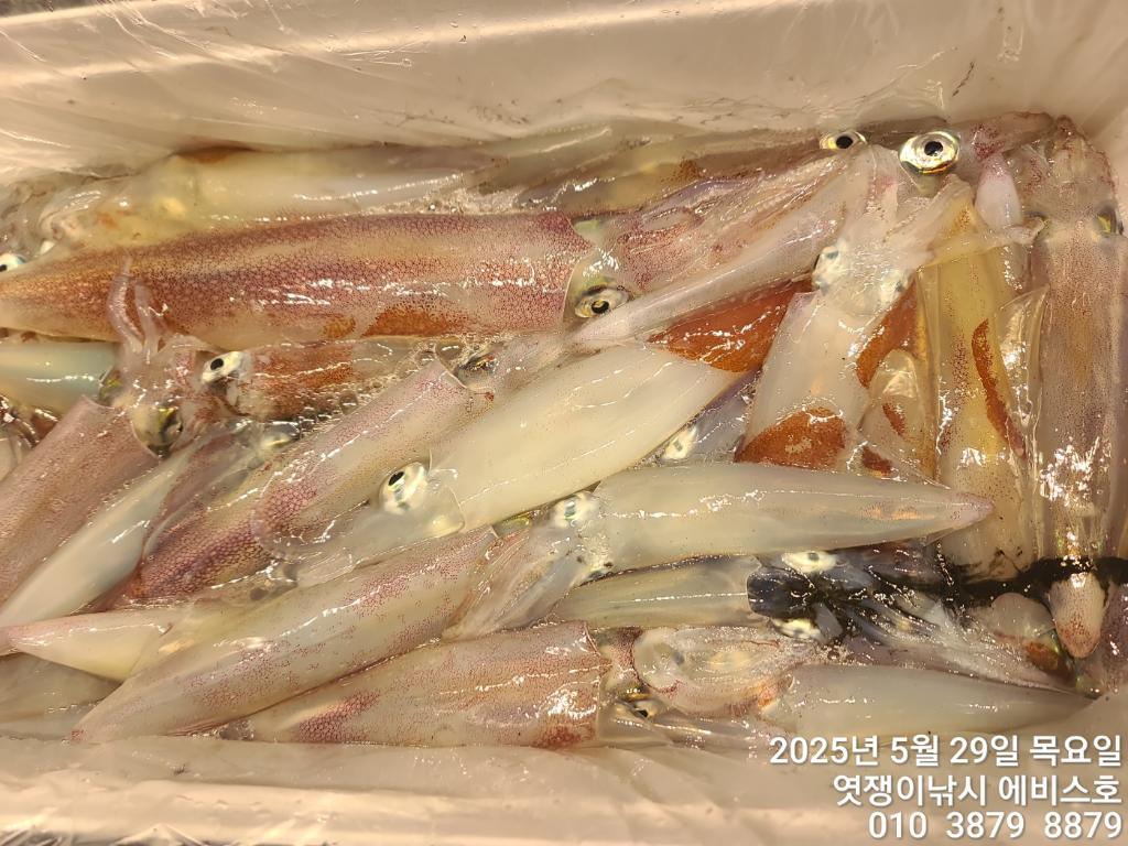 F26852418W.jpg