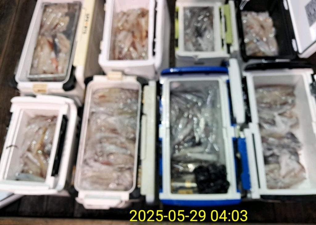 기타 (직접입력), 삼포대교낚시, 낚시뚜