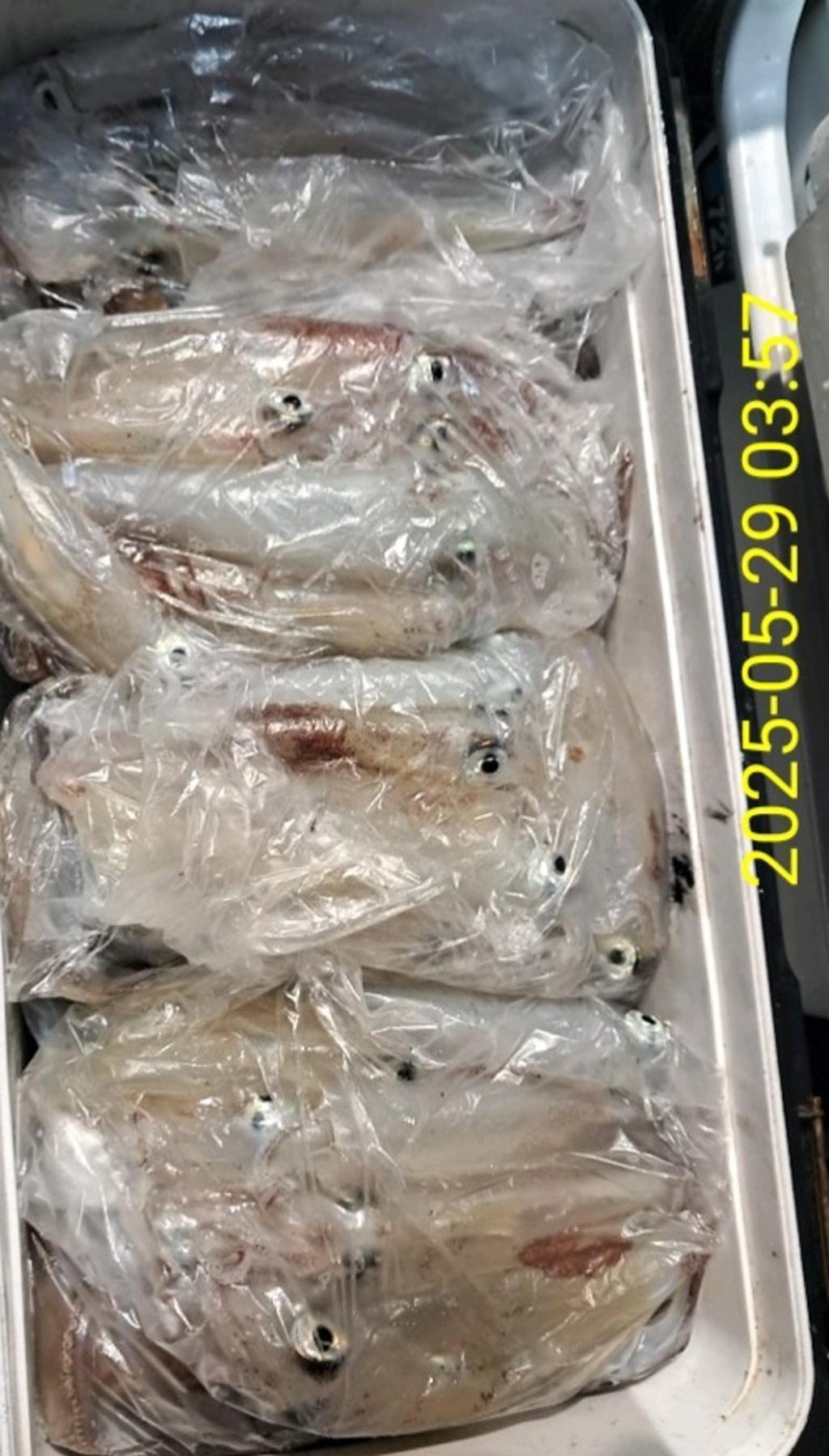 기타 (직접입력), 삼포대교낚시, 낚시뚜