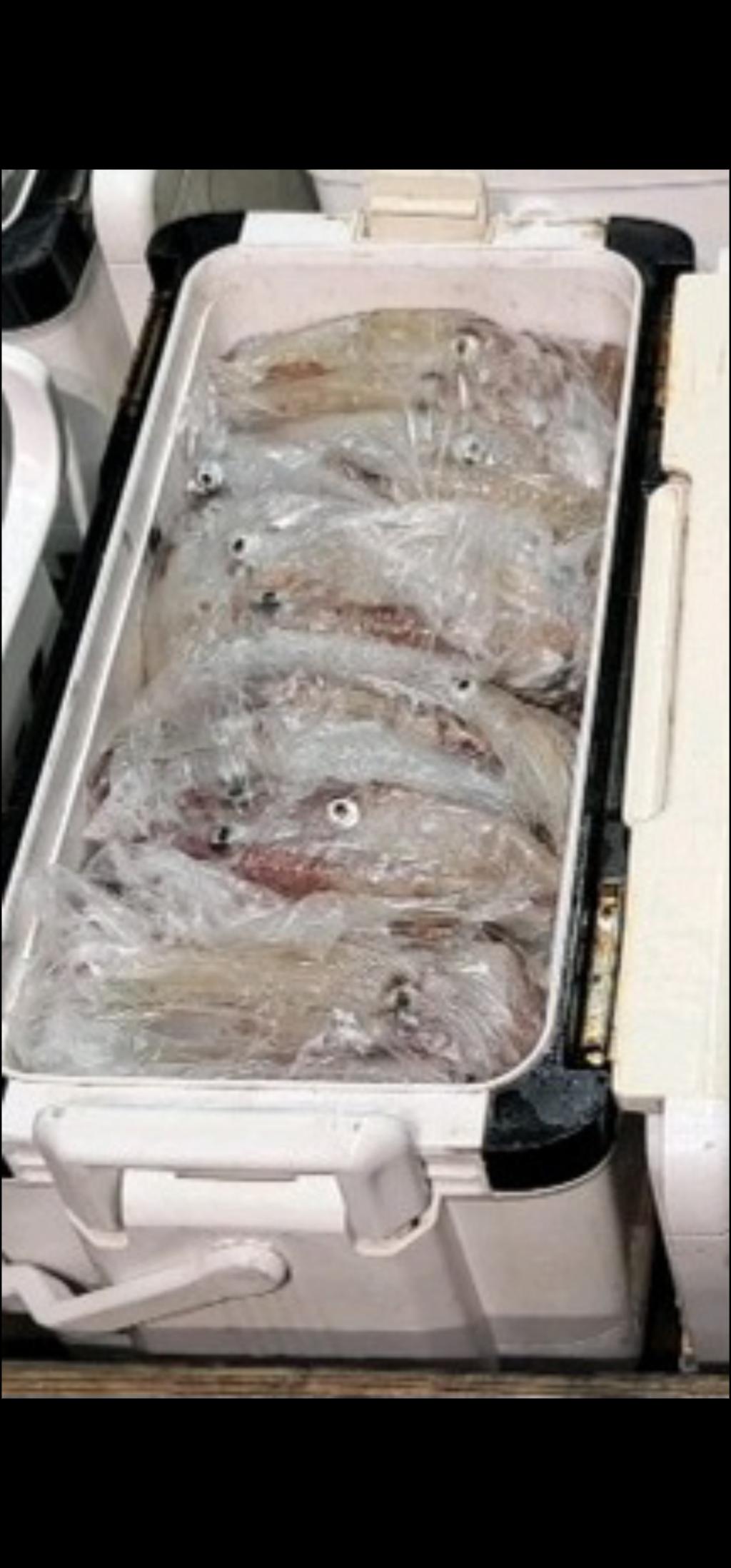 기타 (직접입력), 삼포대교낚시, 낚시뚜