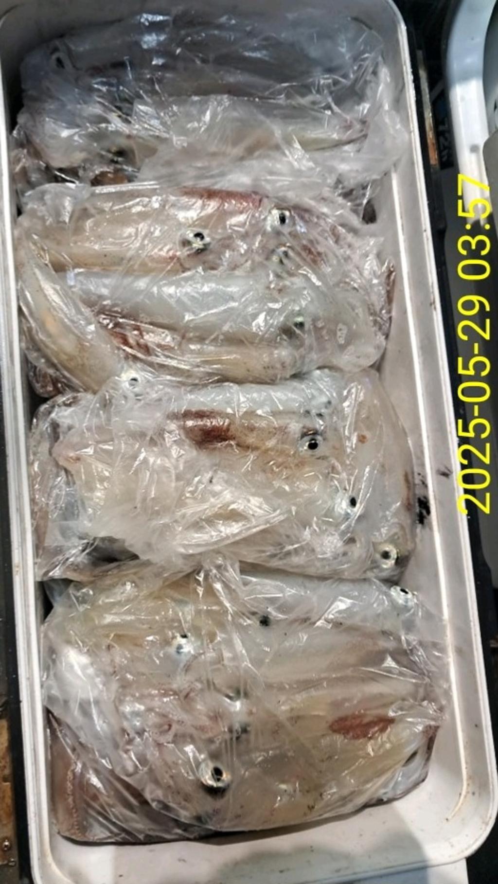 기타 (직접입력), 삼포대교낚시, 낚시뚜