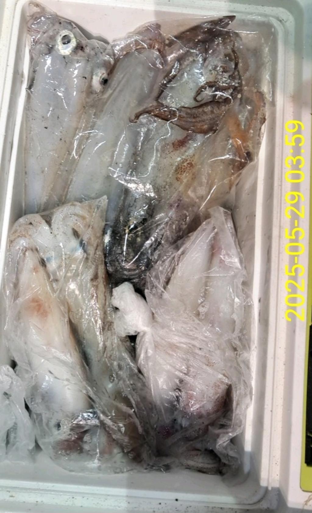 기타 (직접입력), 삼포대교낚시, 낚시뚜