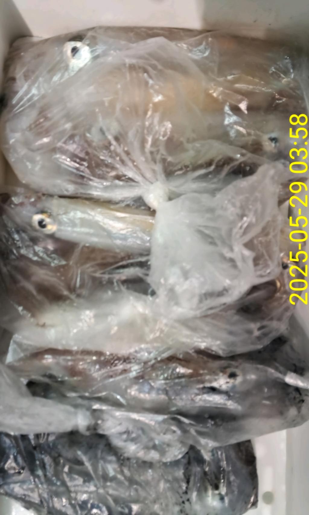 기타 (직접입력), 삼포대교낚시, 낚시뚜