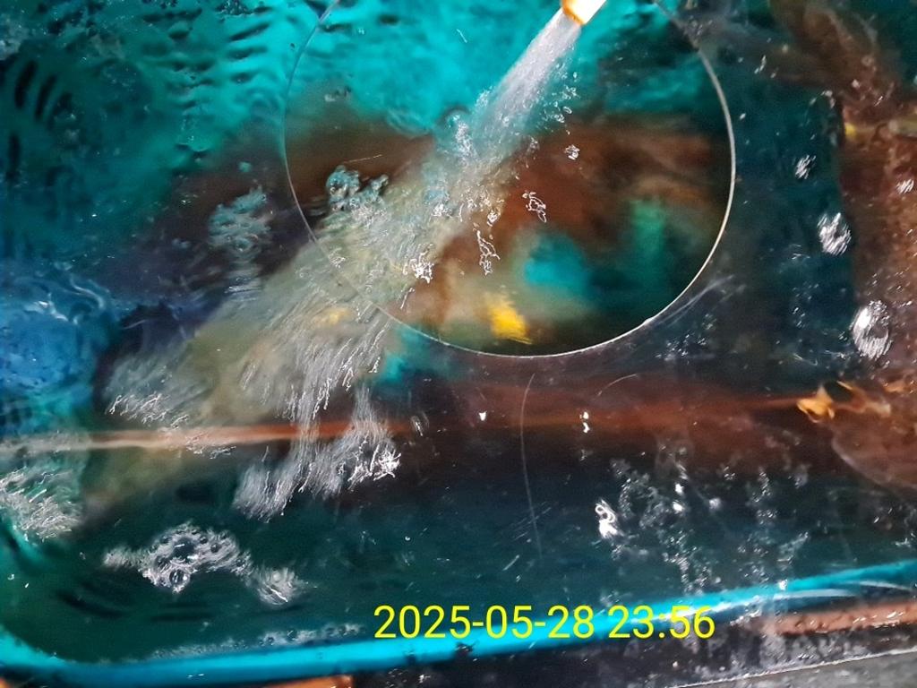 기타 (직접입력), 삼포대교낚시, 낚시뚜
