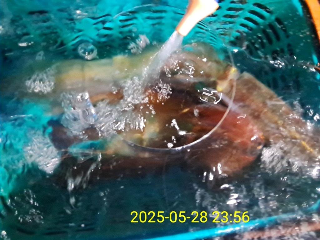 기타 (직접입력), 삼포대교낚시, 낚시뚜