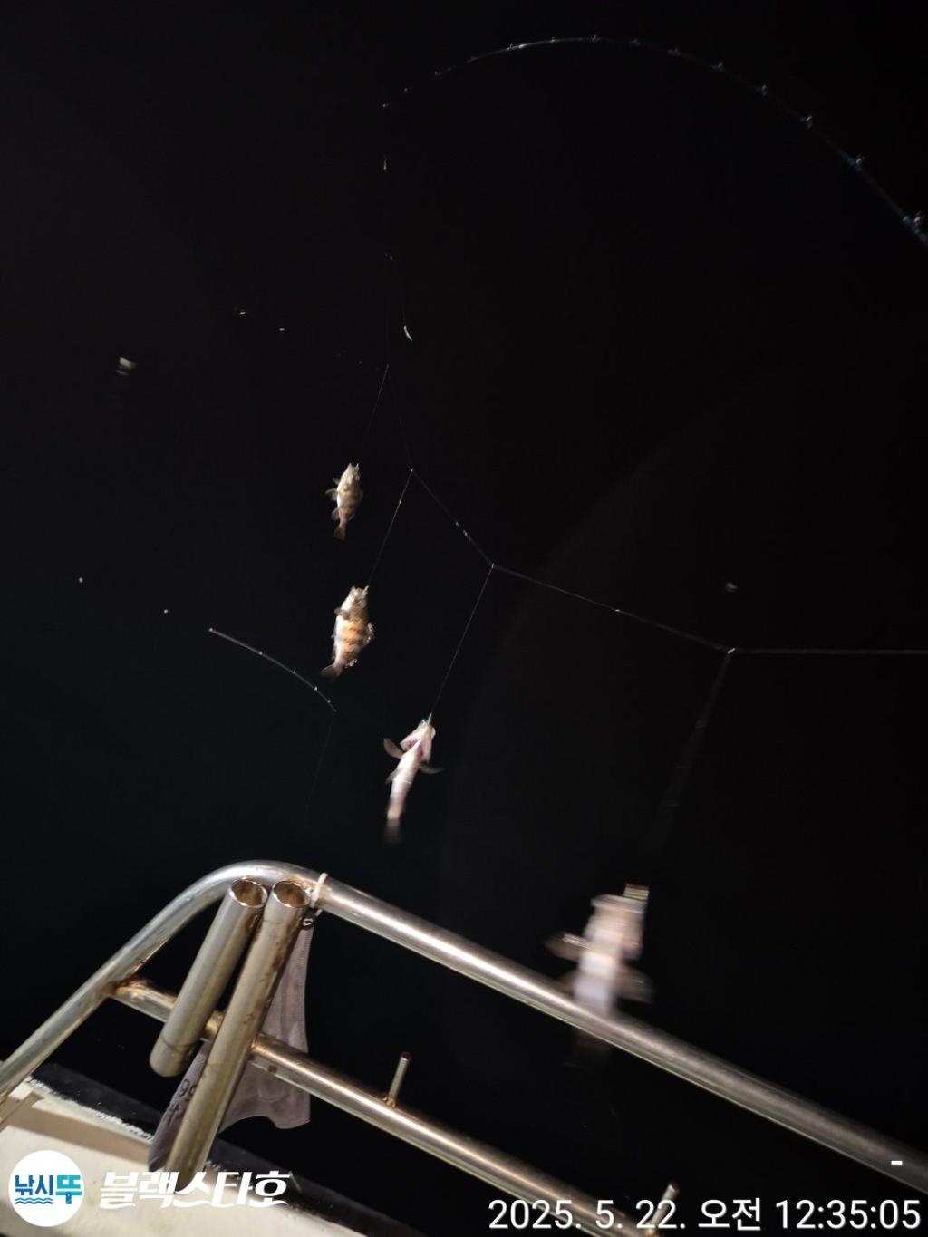 F268555481.jpg