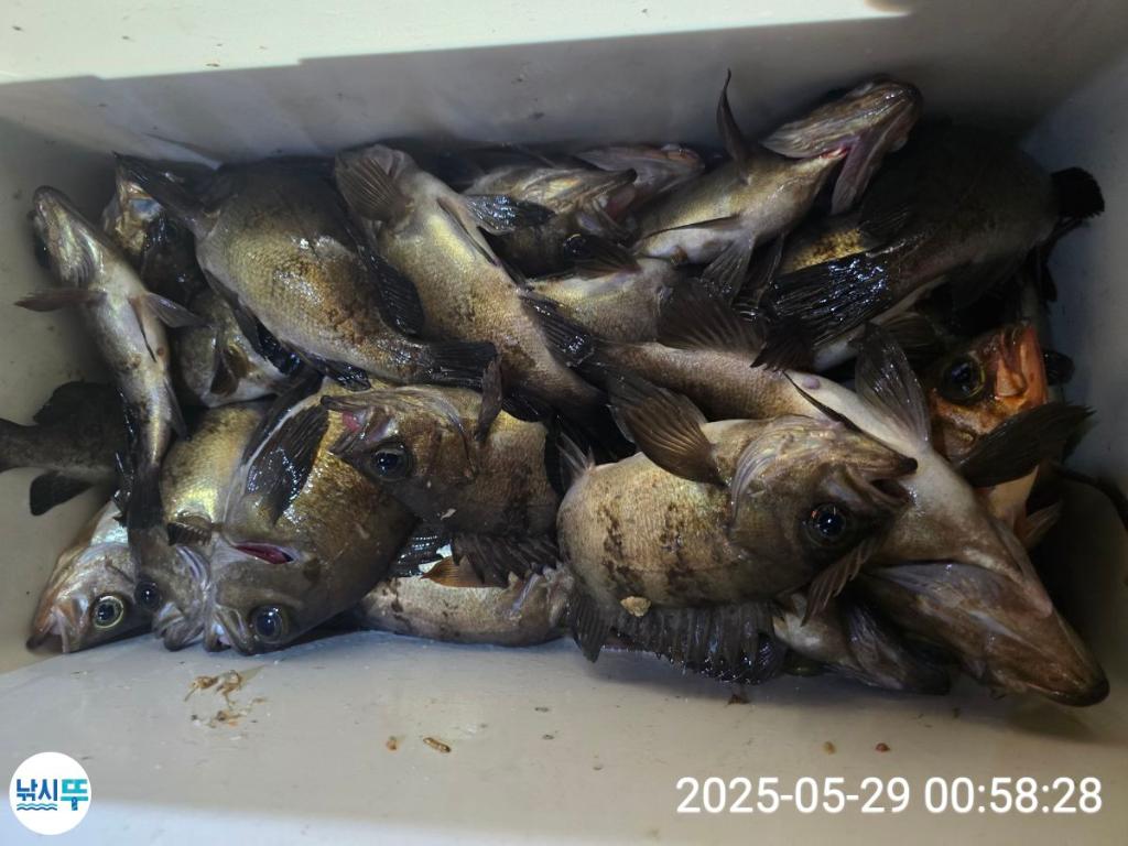 F2685590QP.jpg