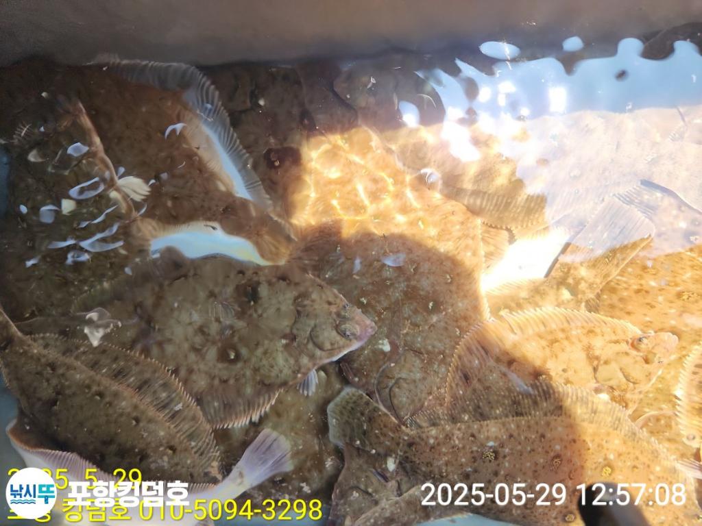 F2685695HO.jpg