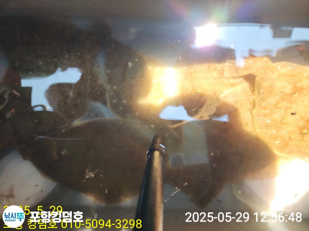 F2685697S1.jpg