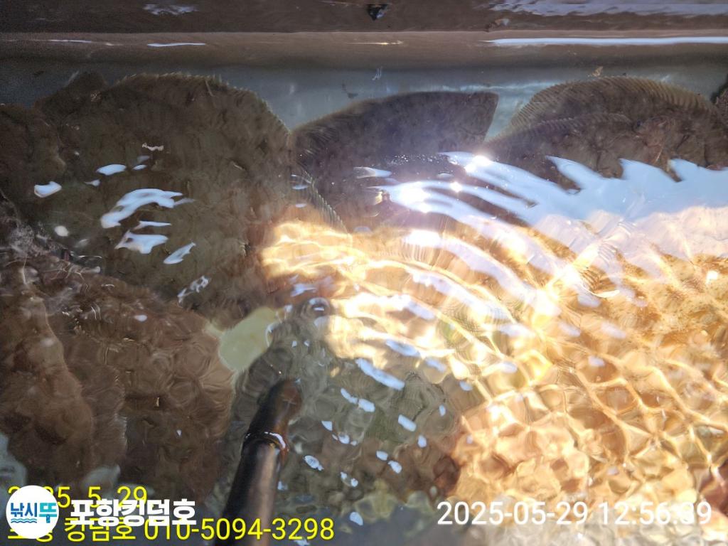 F268569811.jpg