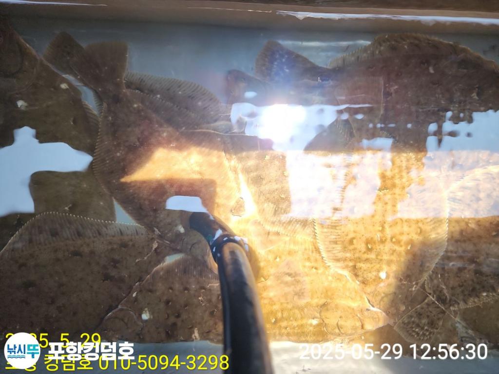 F2685699YS.jpg