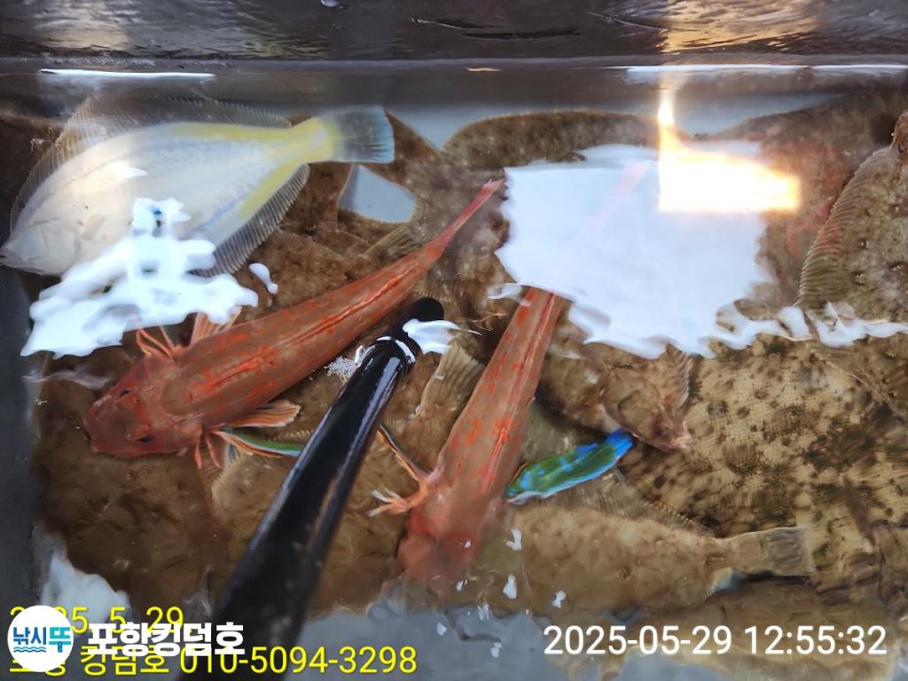 F268570572.jpg