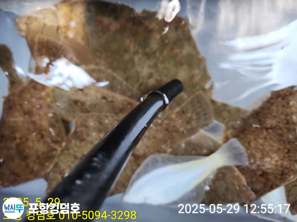 F26857079D.jpg