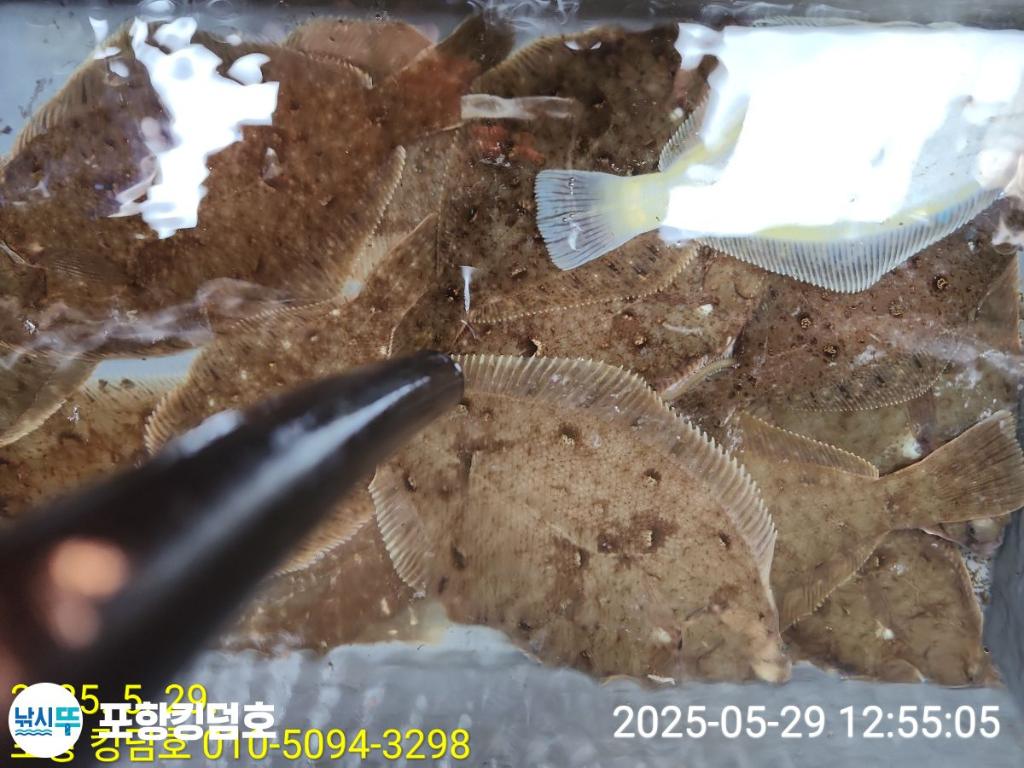 F26857084N.jpg