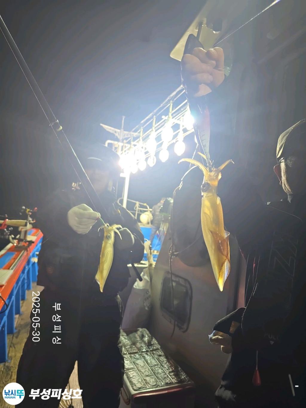 F2685861TX.jpg