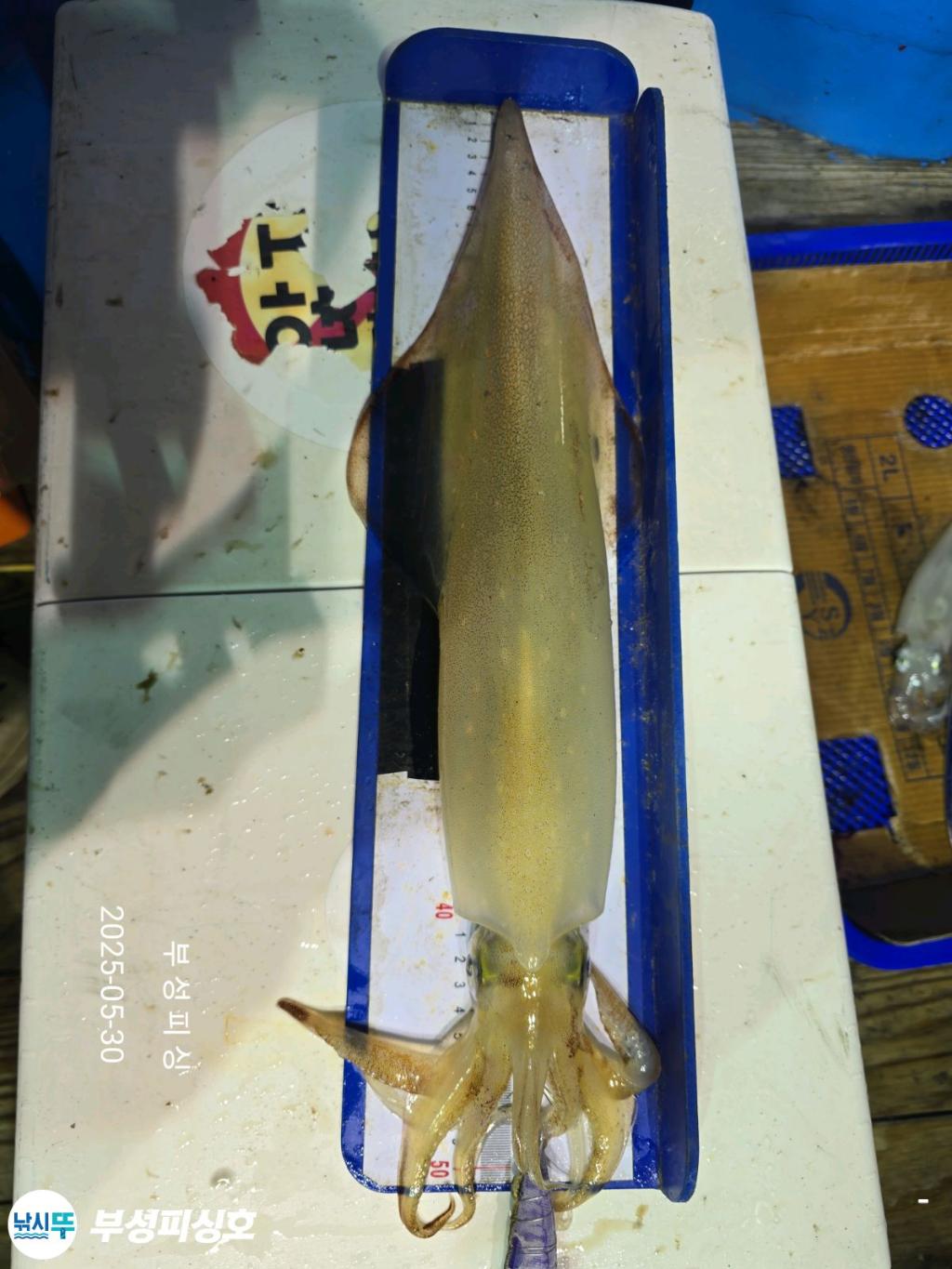 F2685865C8.jpg
