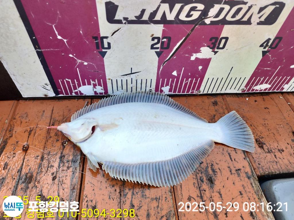 F2685904JR.jpg