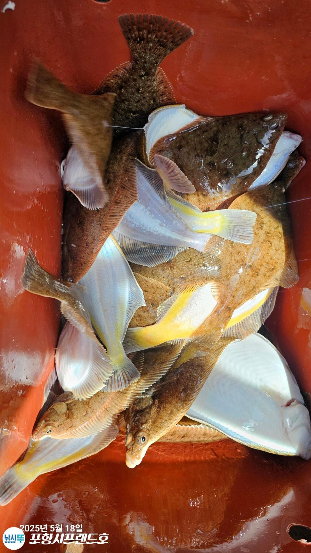 F2685923DF.jpg