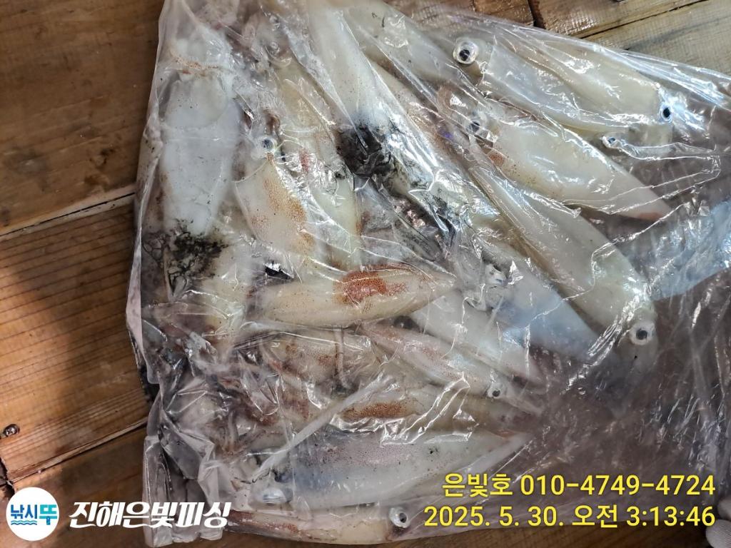 F2685954O0.jpg
