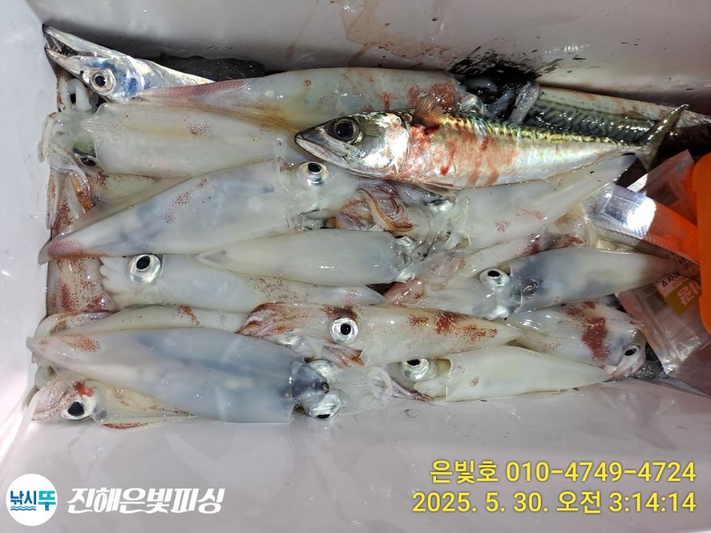F2685955RV.jpg