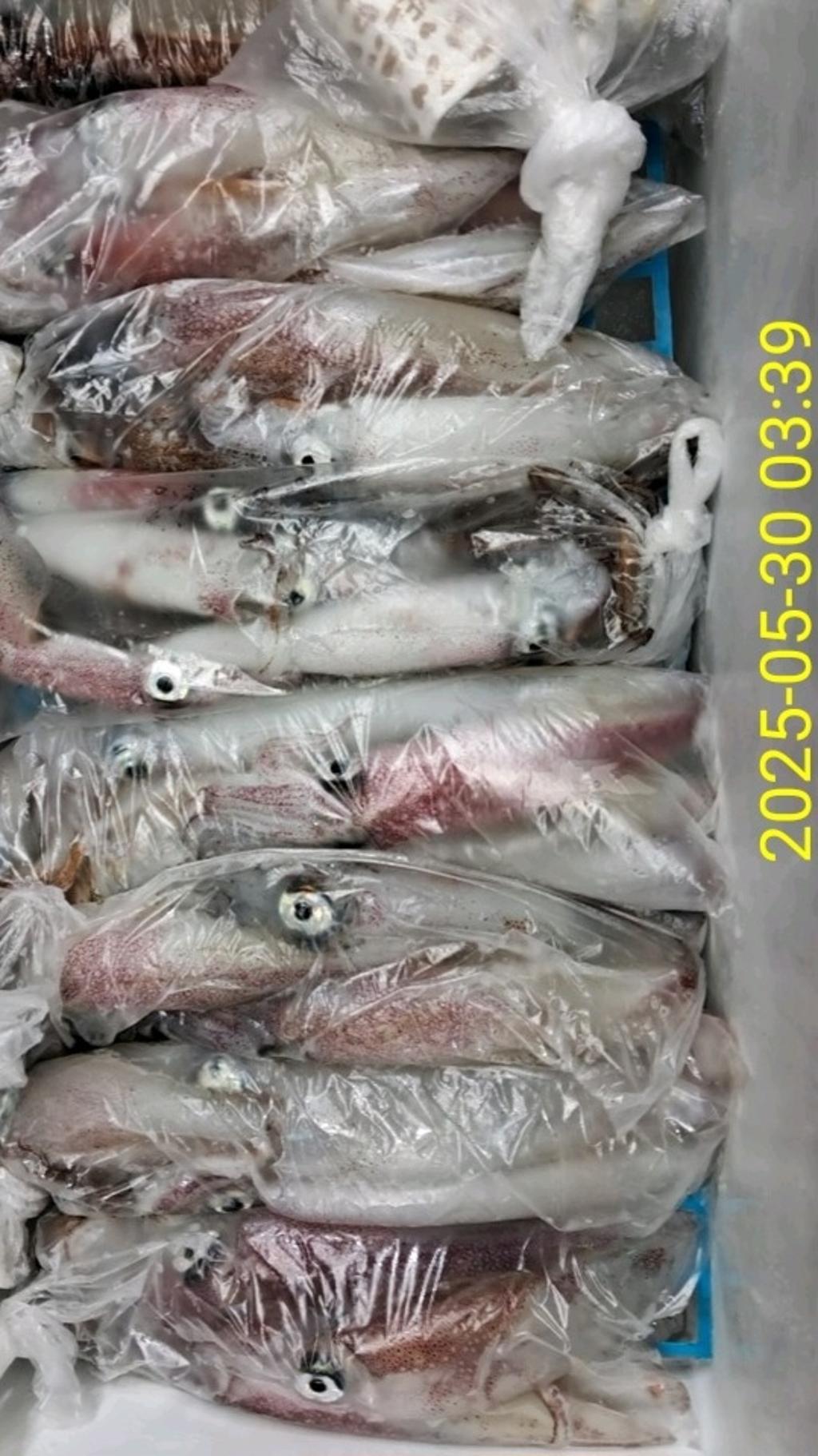 기타 (직접입력), 삼포대교낚시, 낚시뚜
