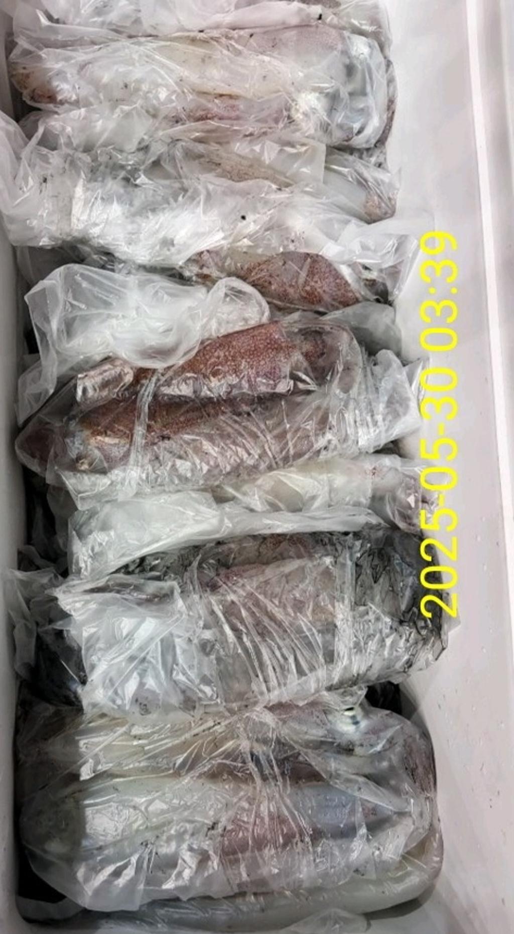 기타 (직접입력), 삼포대교낚시, 낚시뚜