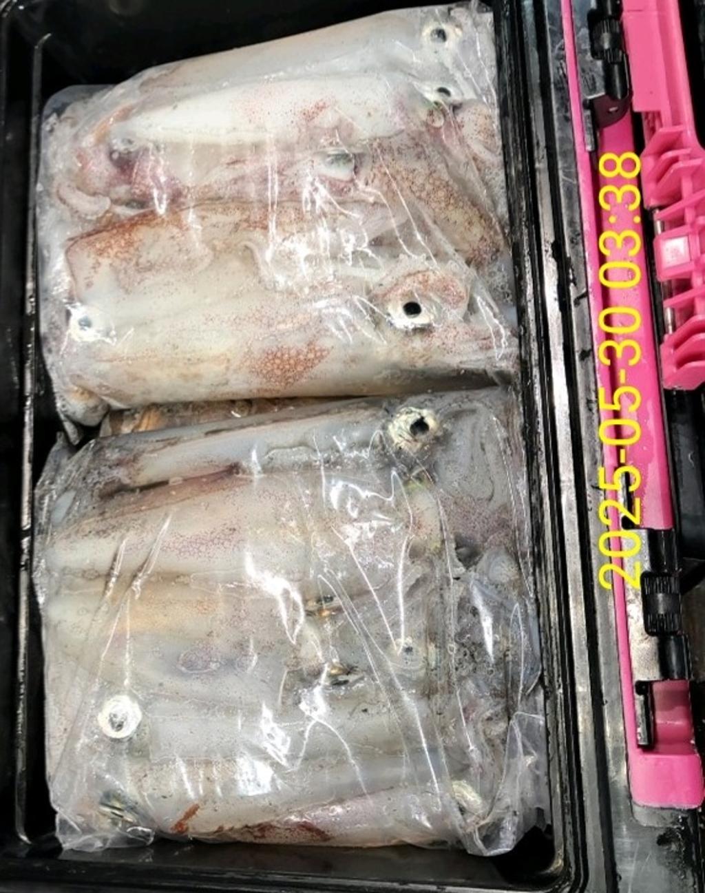 기타 (직접입력), 삼포대교낚시, 낚시뚜