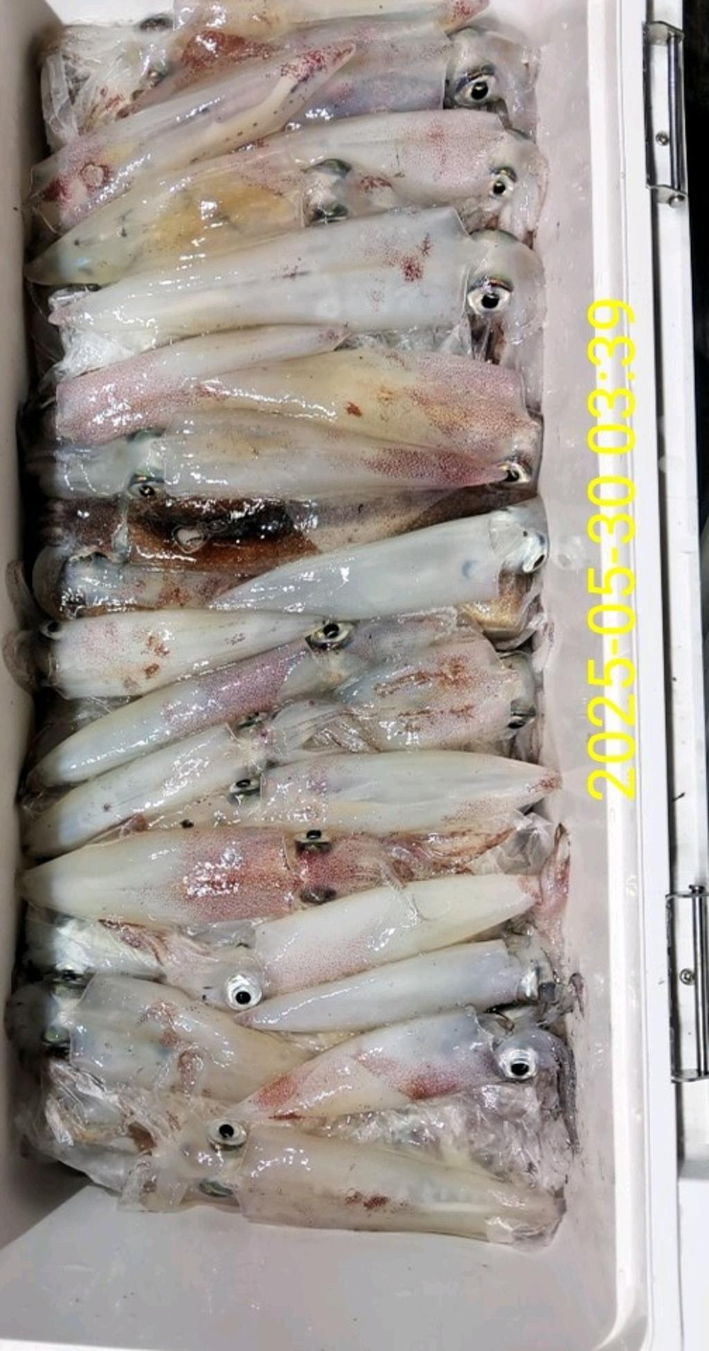 기타 (직접입력), 삼포대교낚시, 낚시뚜