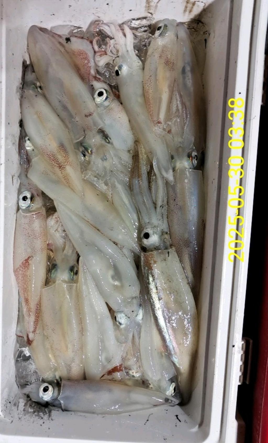 기타 (직접입력), 삼포대교낚시, 낚시뚜