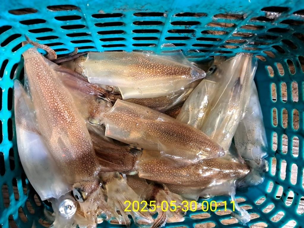 기타 (직접입력), 삼포대교낚시, 낚시뚜