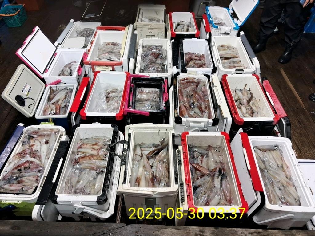 기타 (직접입력), 삼포대교낚시, 낚시뚜