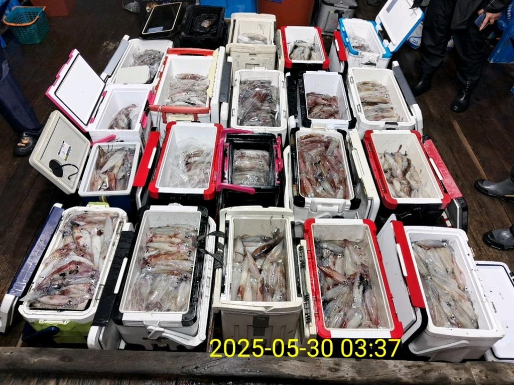 기타 (직접입력), 삼포대교낚시, 낚시뚜