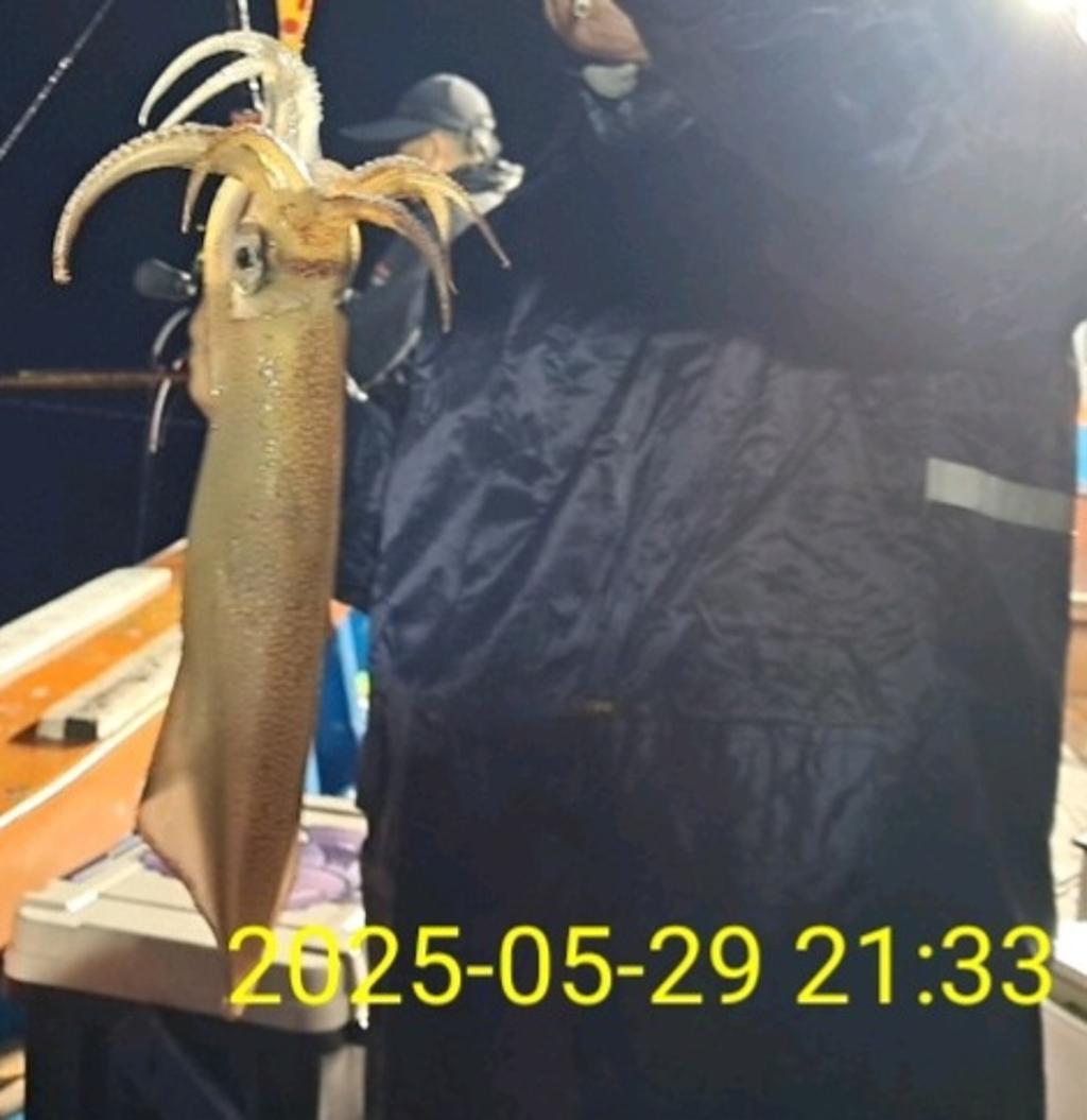 기타 (직접입력), 삼포대교낚시, 낚시뚜