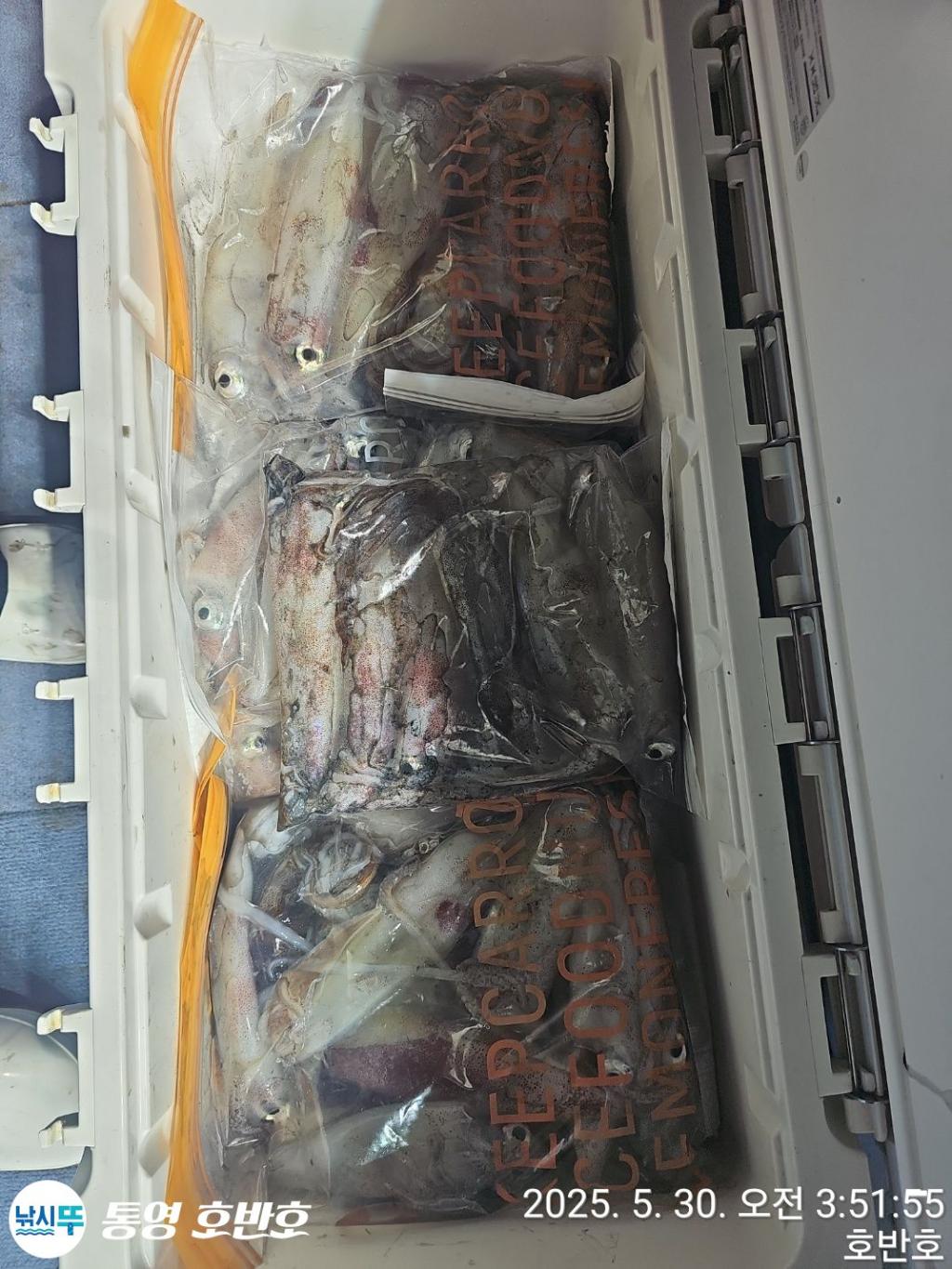 F268635874.jpg