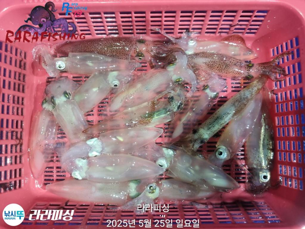 F2686388XU.jpg