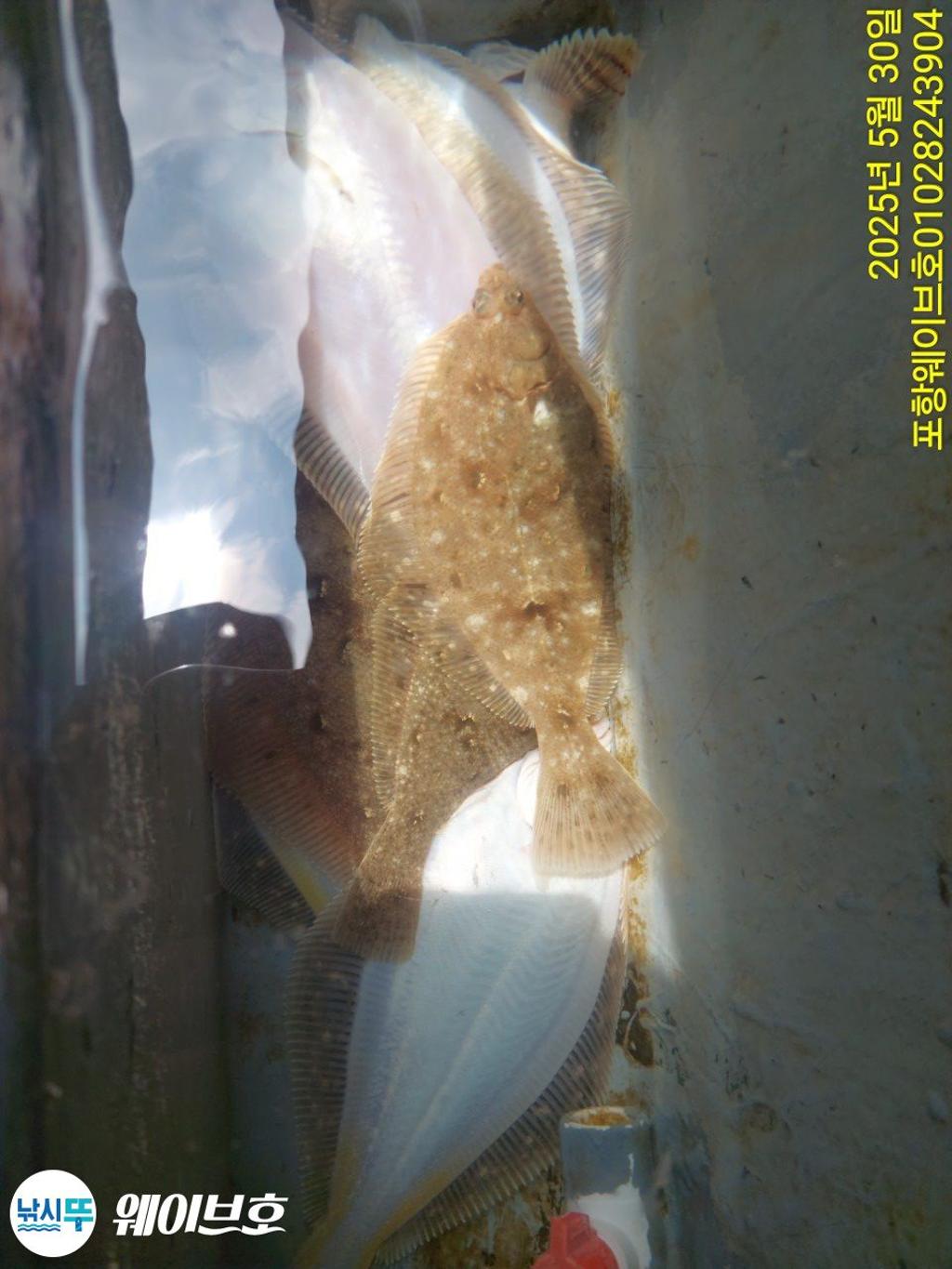 F2686427AQ.jpg