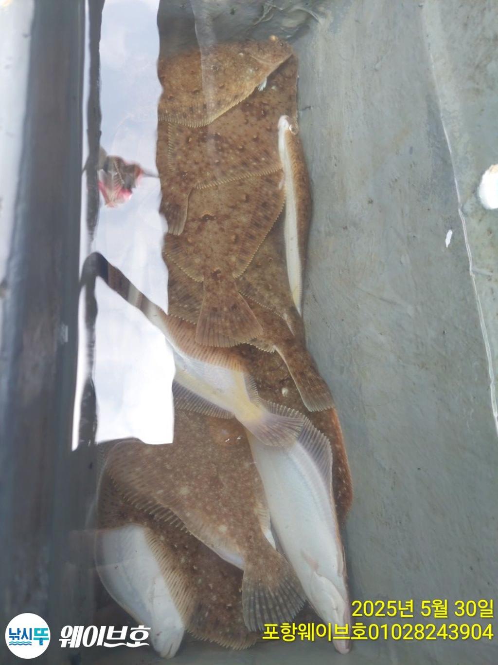 F268642832.jpg