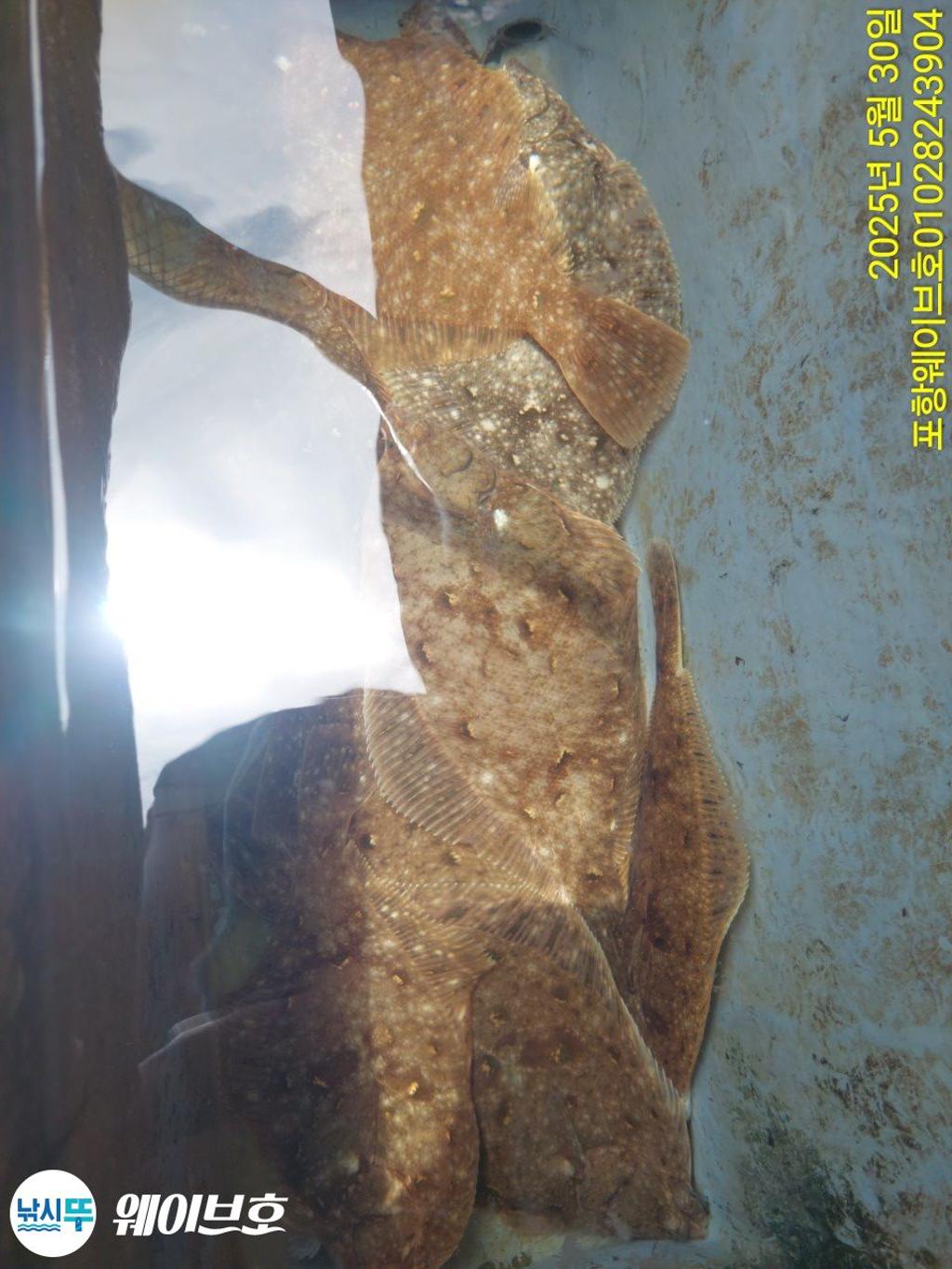 F268643226.jpg