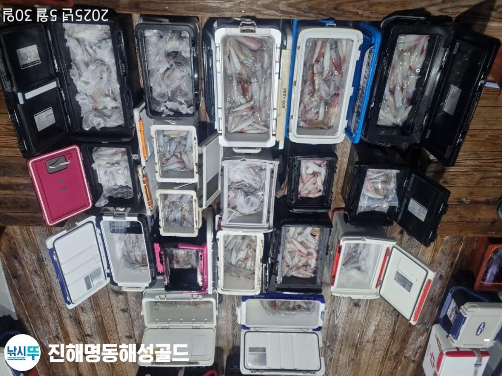 F2686485TU.jpg