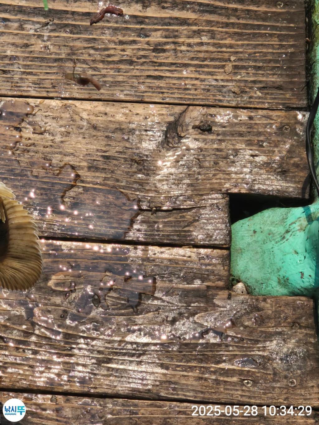F2686612UM.jpg