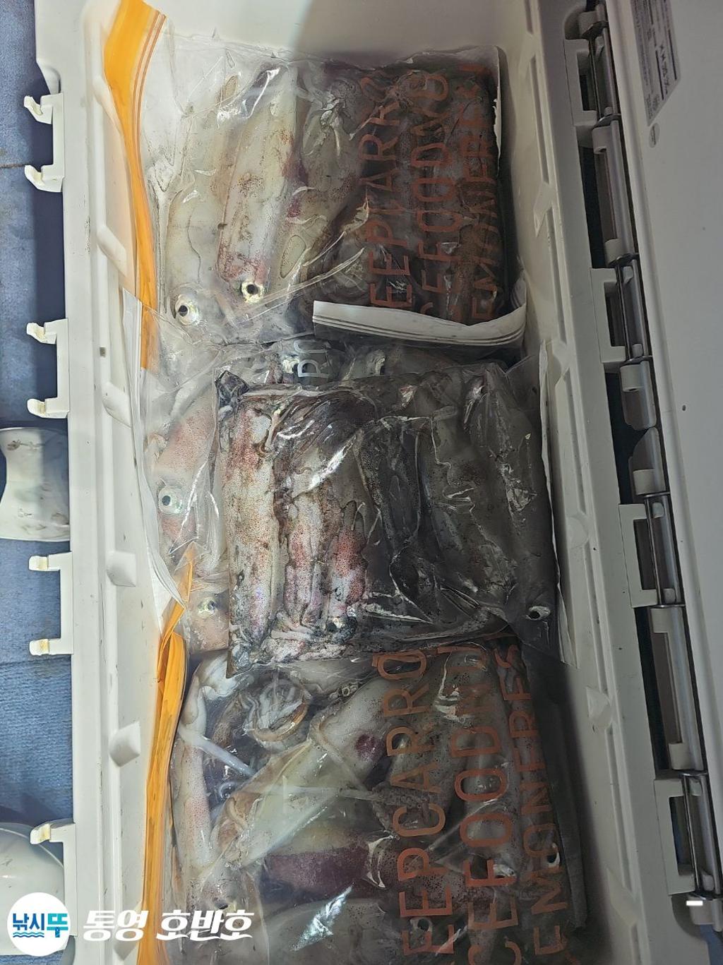 F268672650.jpg