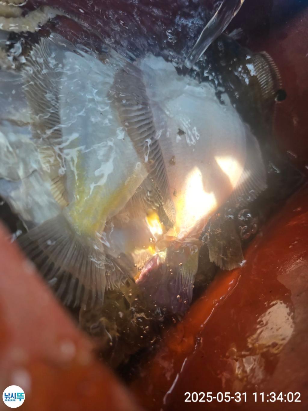 F2686927ZK.jpg