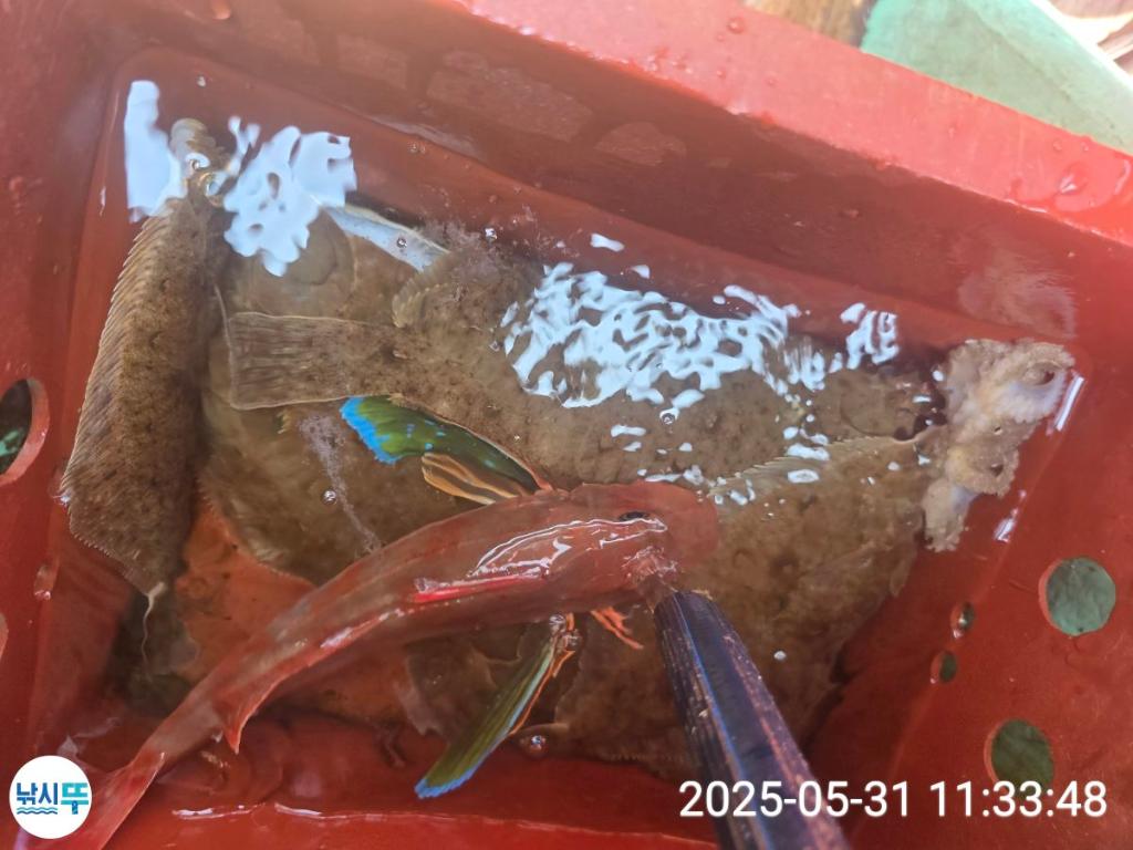 F268693063.jpg