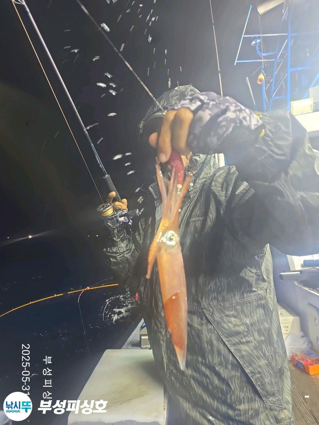 F2686957WB.jpg