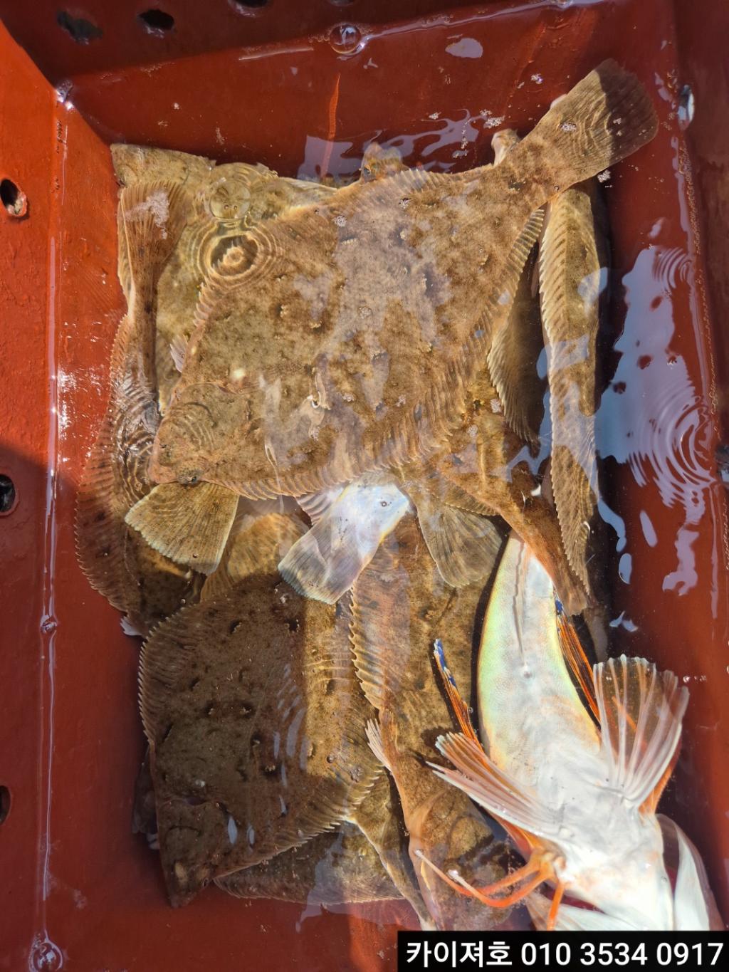 F2686989E1.jpg