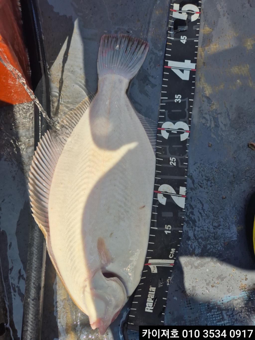 F2687025KX.jpg