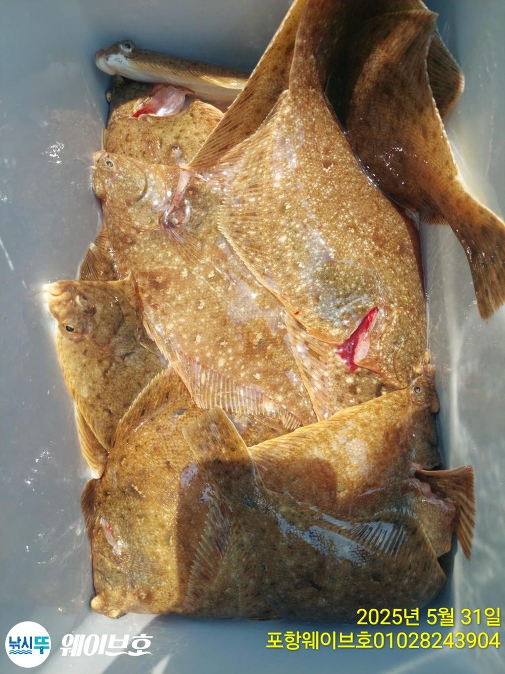 F268705488.jpg