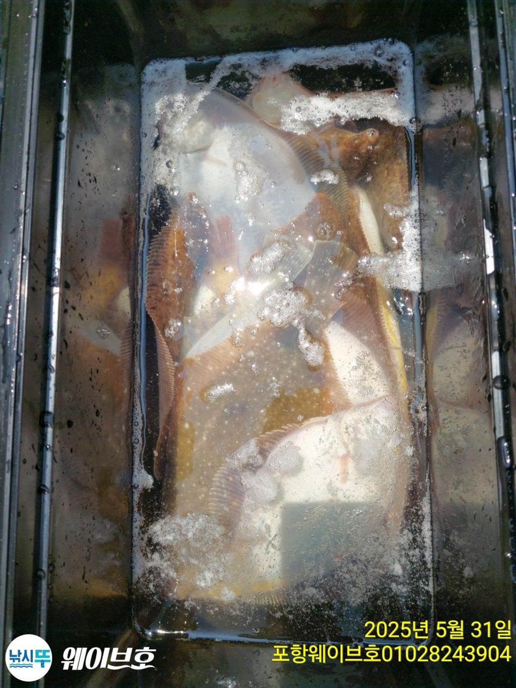 F268705680.jpg