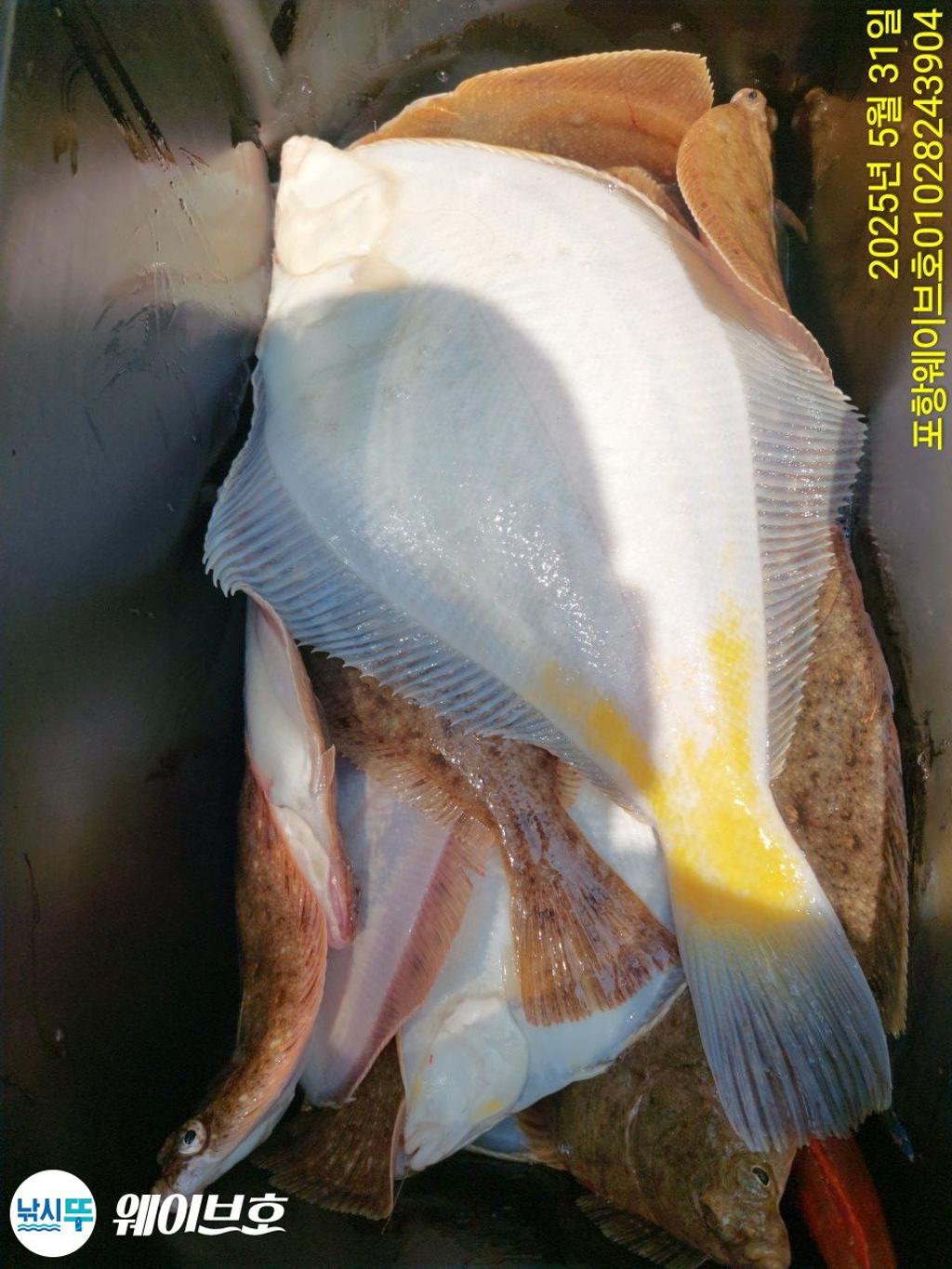 F2687059WX.jpg